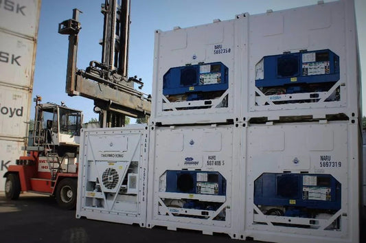 Carrier 20' RF container refrigerato, per stoccaggio refrigerato, del 2000