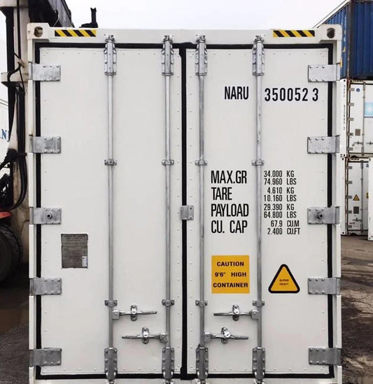 Carrier 20' RF container refrigerato, per stoccaggio refrigerato, del 2000